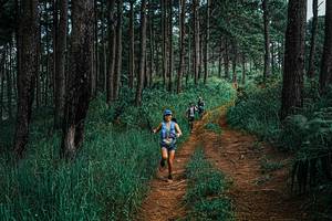 BIB: 
                            <button type="button" onclick="openModal(25659976)" class="btn btn-primary btn-sm float-right btn-popup" data-toggle="modal" data-target=".modal-high-quality">
                        <i class="fas fa-shopping-cart"></i> Add to Cart
                    </button>
                                            <button type="button" onclick="isThisMe(25659976, true)" class="btn btn-success btn-sm float-right btn-popup btn-isme hidden" data-toggle="tooltip" data-placement="bottom" title="นี่คือรูปของคุณใช่ไหม คลิกที่นี่เพื่อเอาเข้าอัลบั้ม">
                        <i class="fas fa-plus"></i> Add to album
                    </button>
                    <button type="button" onclick="isThisMe(25659976, false)" class="btn btn-warning btn-sm float-right btn-popup btn-isnotme hidden">
                        <i class="fas fa-ban"></i> Remove from album
                    </button>